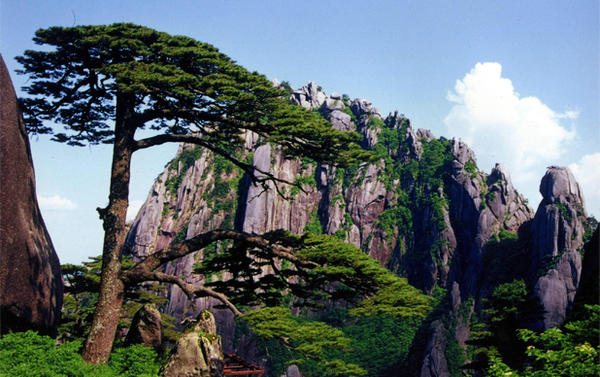 黄山两日游（住山下）