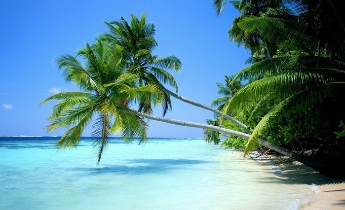 海口双岛0距离]<纯玩五日游>