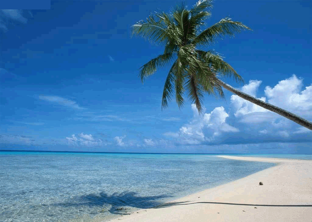 合肥到海南三亚直飞（自由行+游览）