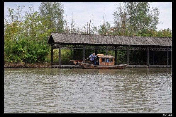 溱湖国家湿地公园 溱潼古镇 踏青赏花一日游