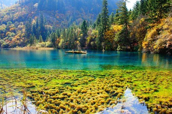 成都 九寨沟 牟尼沟 双飞五日游