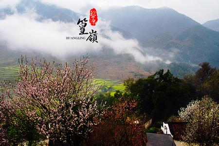长寿故里 醉美婺源篁岭精华超值二日游