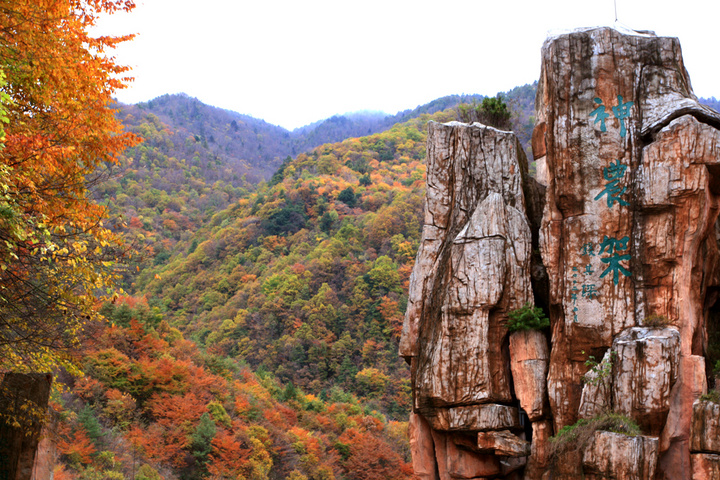 神农架、三峡大坝、神农祭坛、天生桥、三游洞、下牢溪双动精华四日游