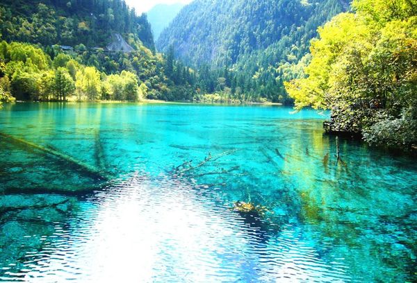 成都 九寨 黄龙 熊猫基地 六日游（全陪班）