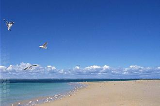 日照、连云港、青岛极地世界三日游