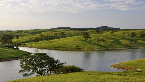 亲子游——小小牧羊家