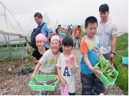 亲子游——小小农场主