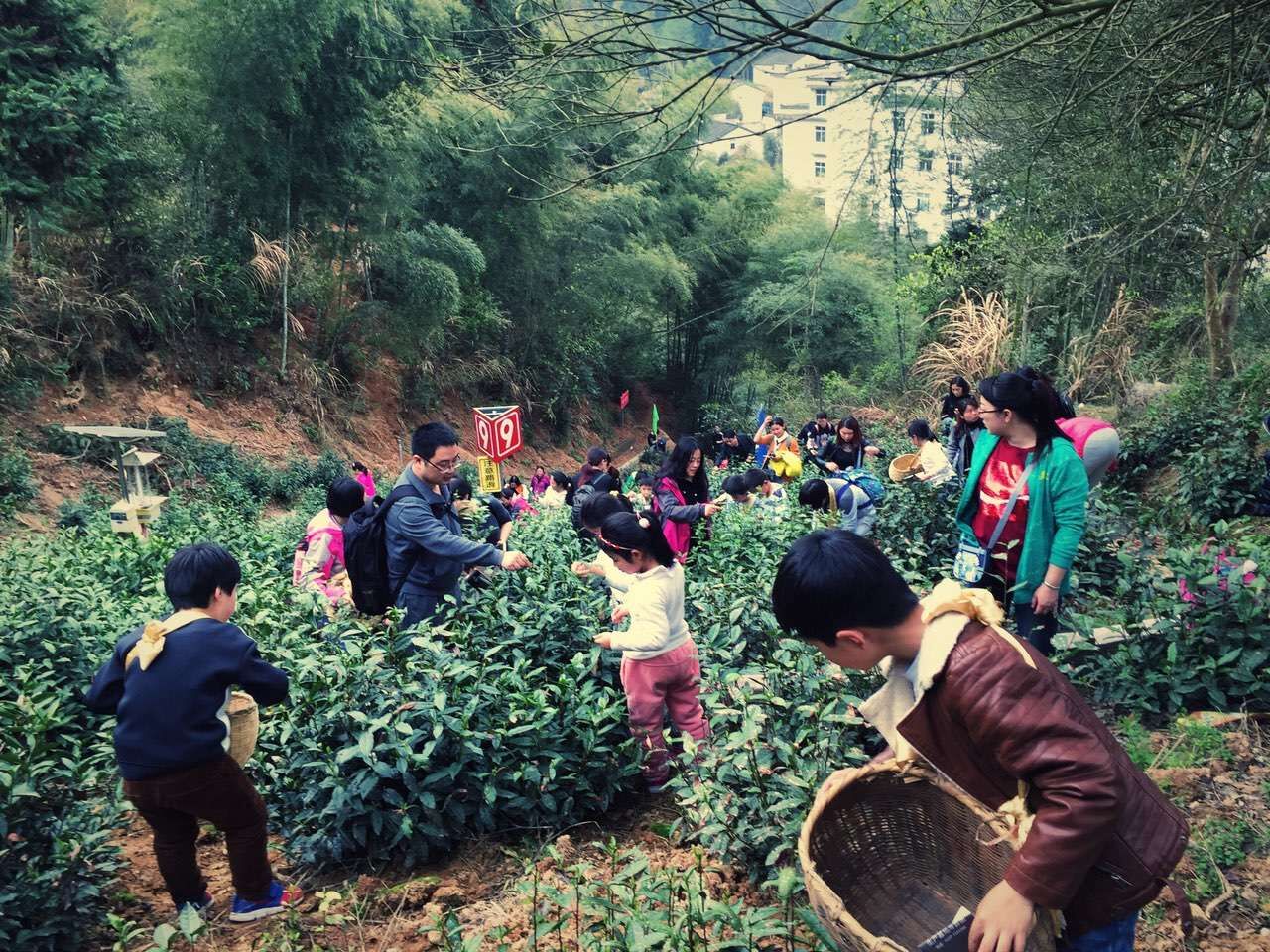 亲子游——小小探险家