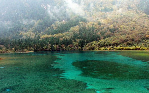 成都、九寨、黄龙双飞六日游