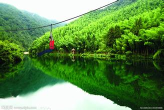 太平湖 虎林园 芙蓉谷 凤凰源 屯溪老街二日游（C线）