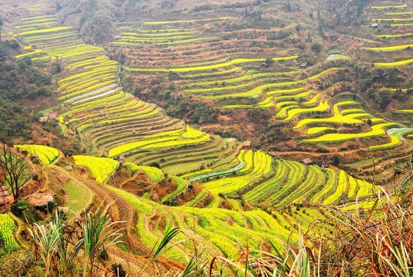 婺源漂流、印象上饶、龟峰2日游
