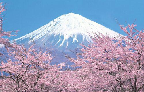 重庆两日游020917