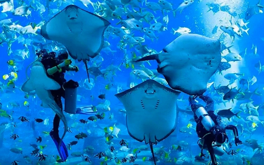 海南三亚 6 日 5 晚跟团游